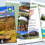 Indesign brochures